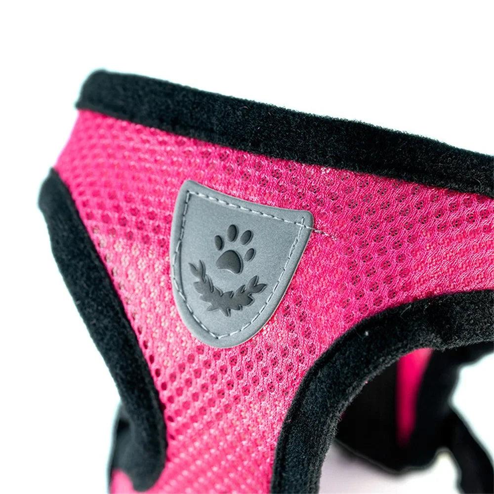Small Dog Harness With Leash