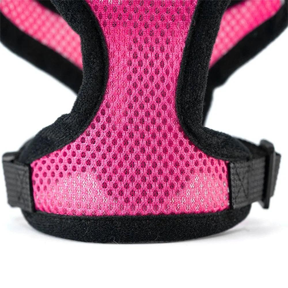 Small Dog Harness With Leash