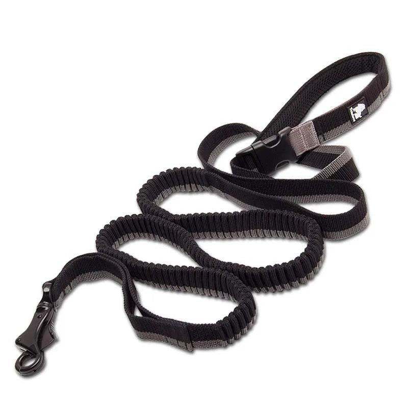 Heavy-duty Bungee Leash