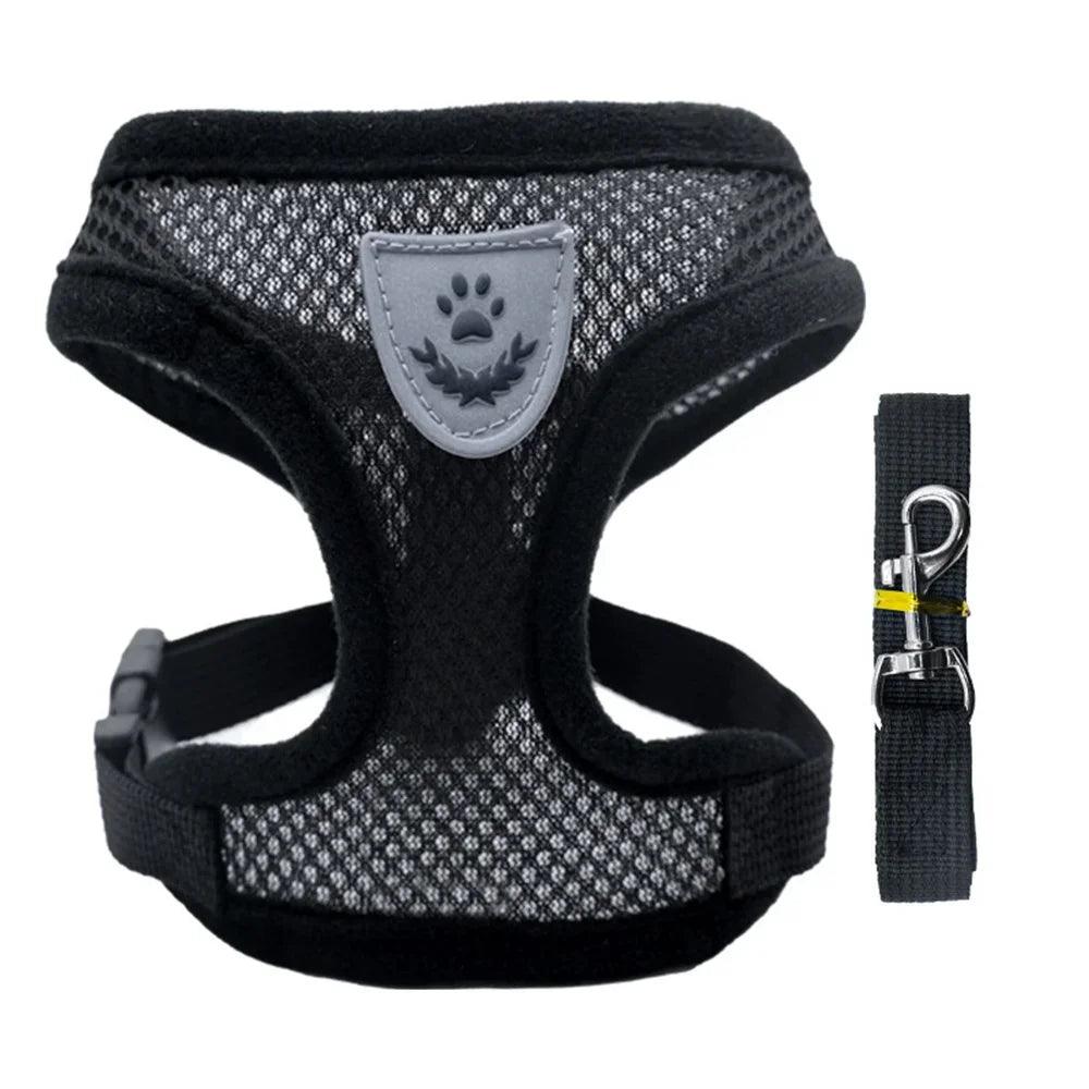Small Dog Harness With Leash