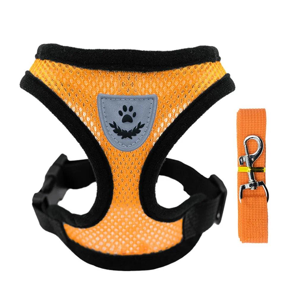Small Dog Harness With Leash