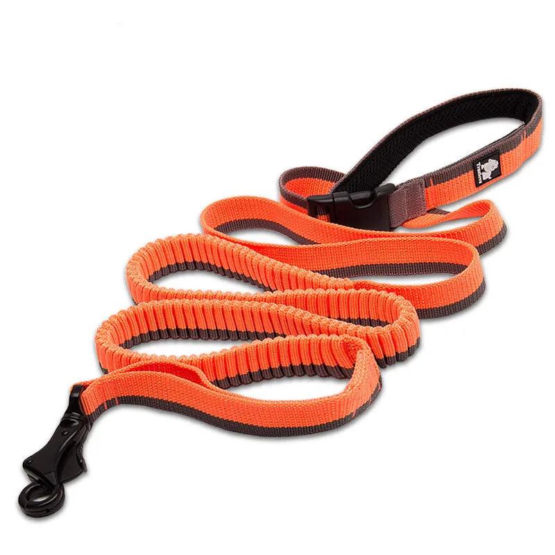 Heavy-duty Bungee Leash