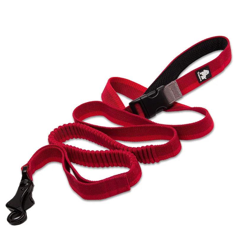 Heavy-duty Bungee Leash