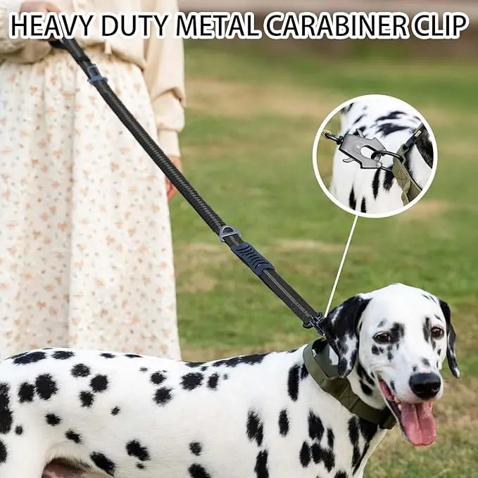 No-Pull Dog Leash Reflective with Car Seatbelt Attachment