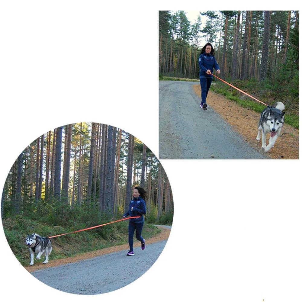 Heavy-duty Bungee Leash