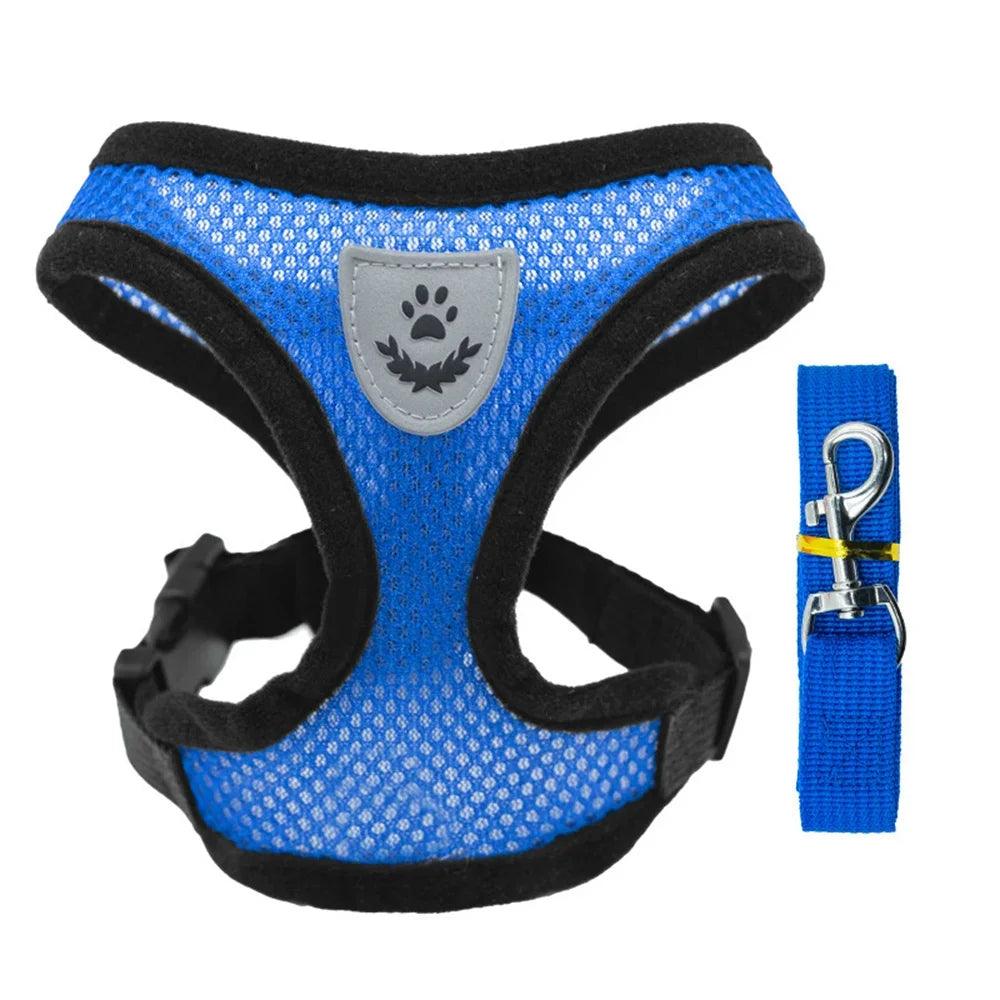 Small Dog Harness With Leash