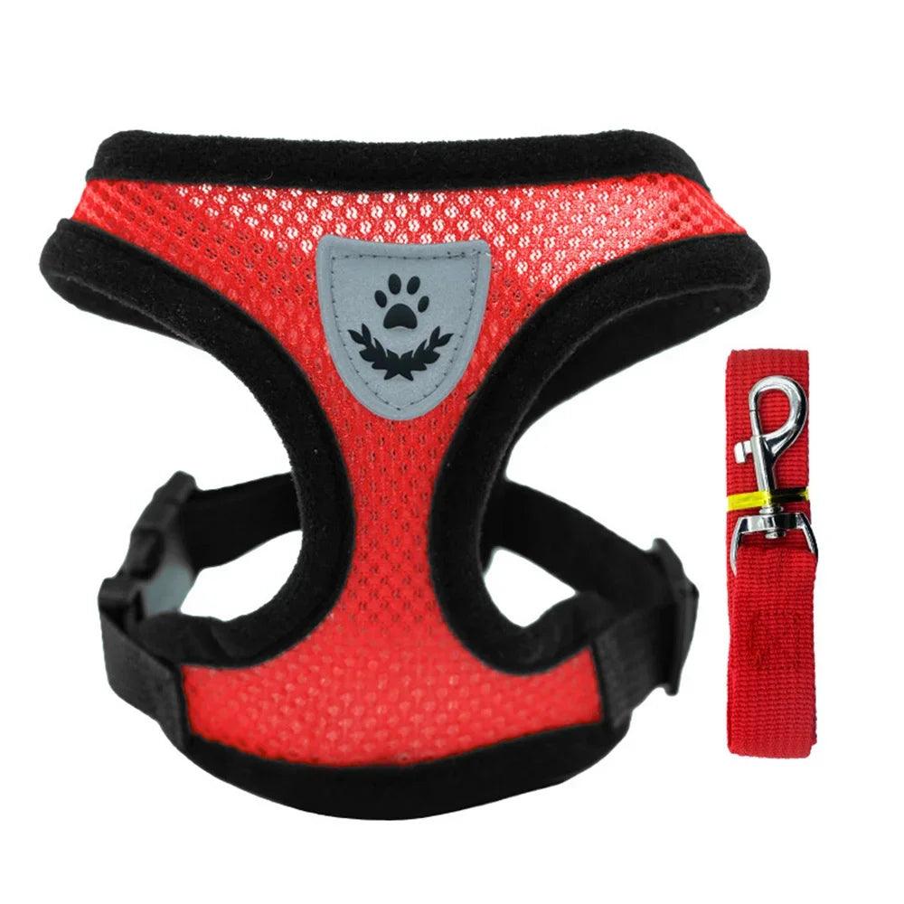 Small Dog Harness With Leash