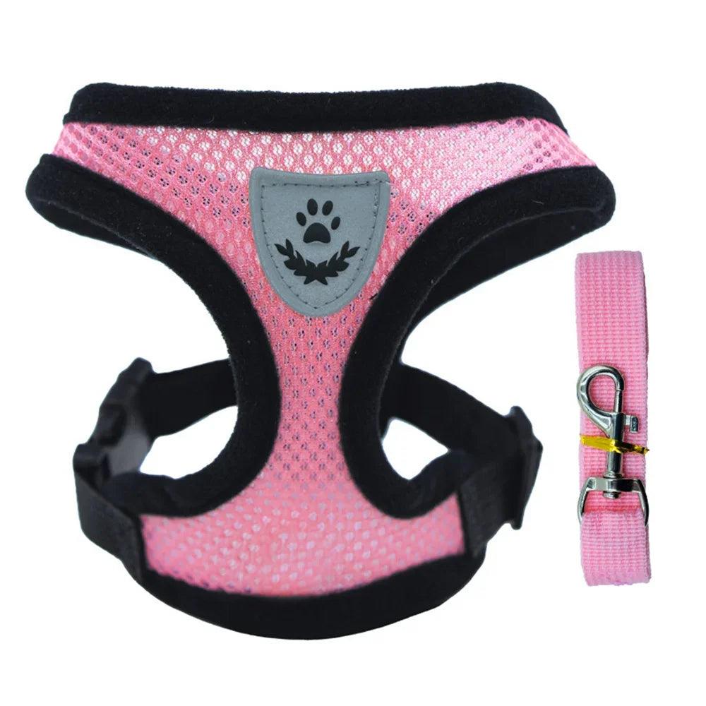 Small Dog Harness With Leash
