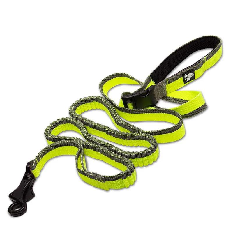 Heavy-duty Bungee Leash